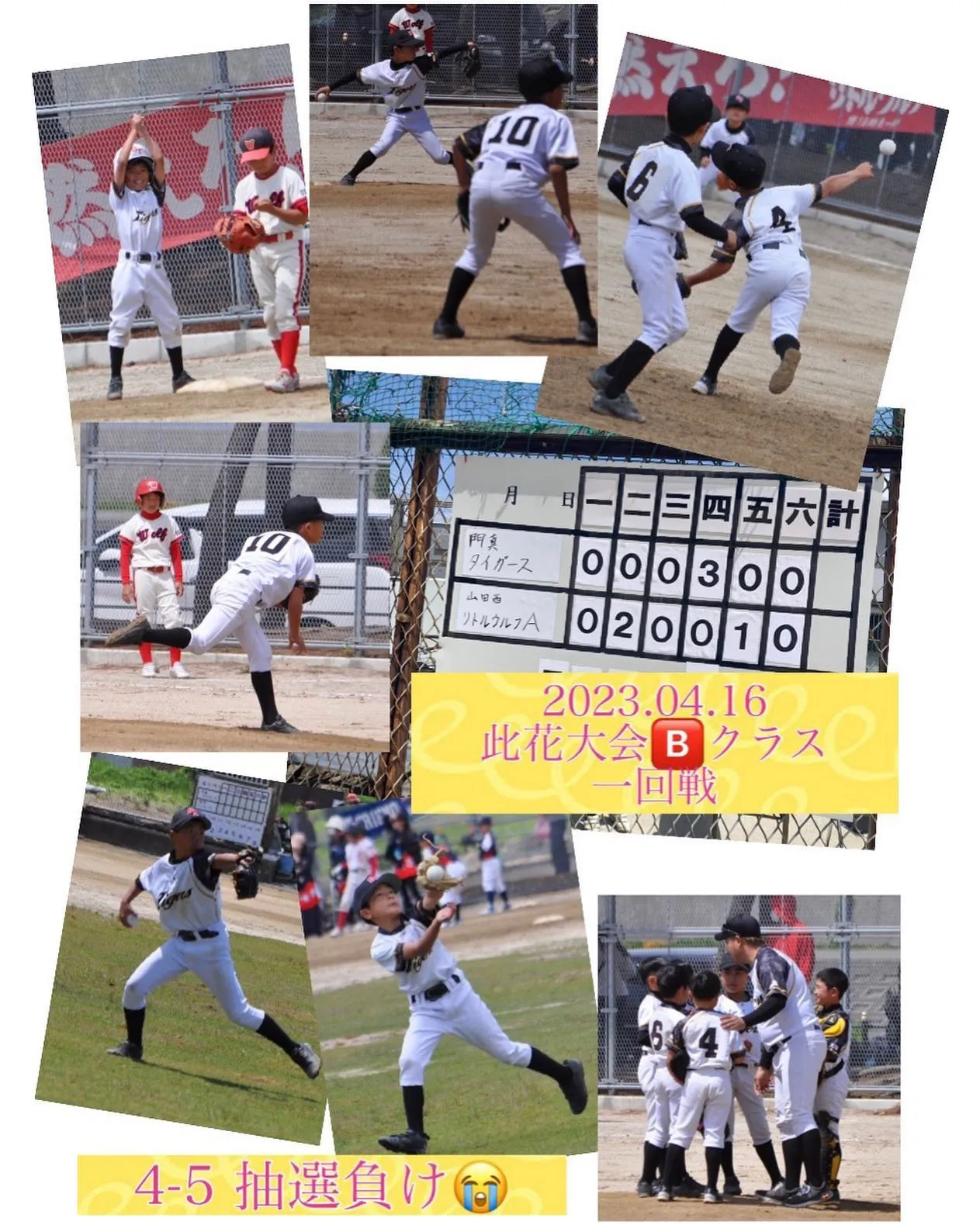 久しぶりの野球投稿