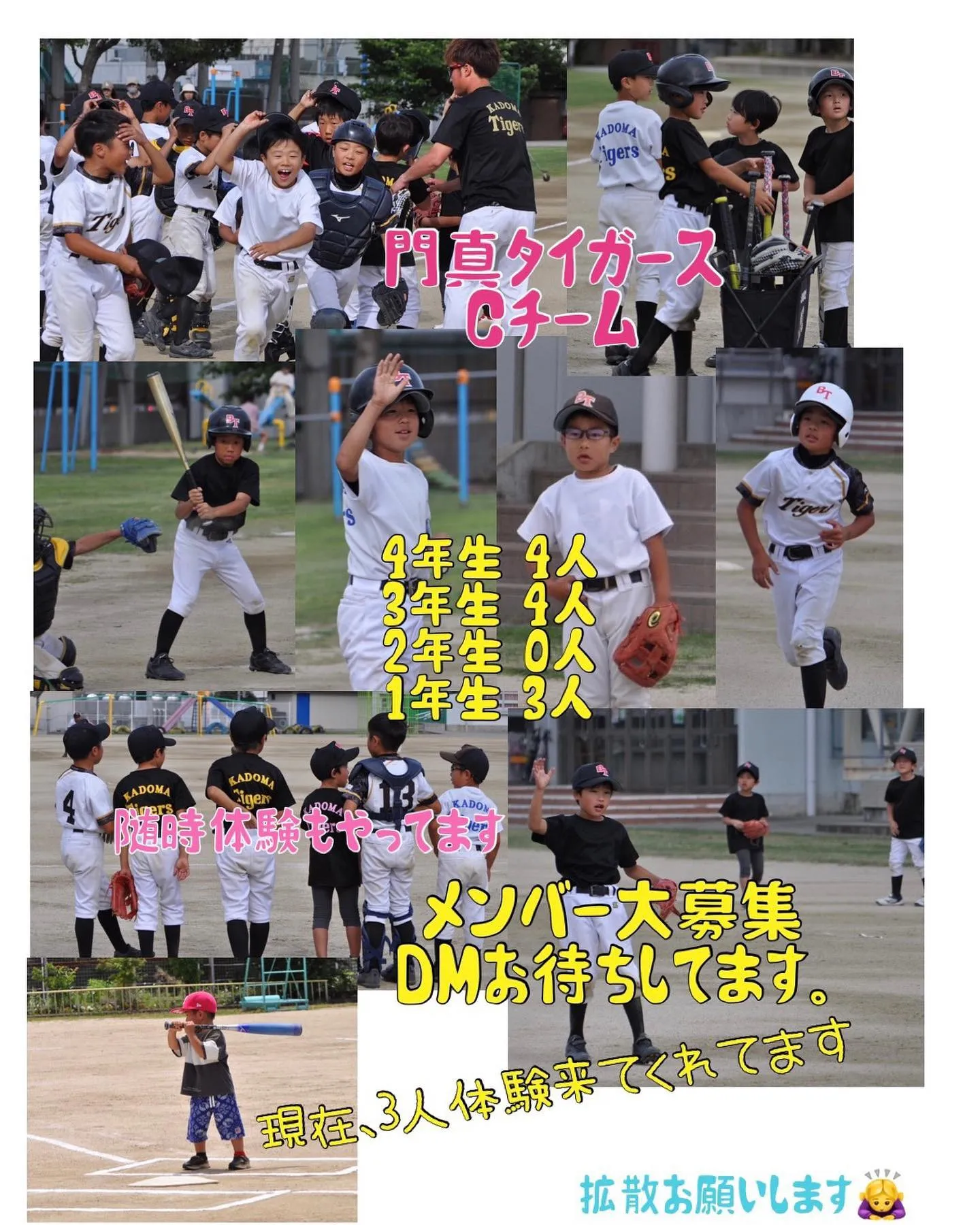 #門真タイガース 