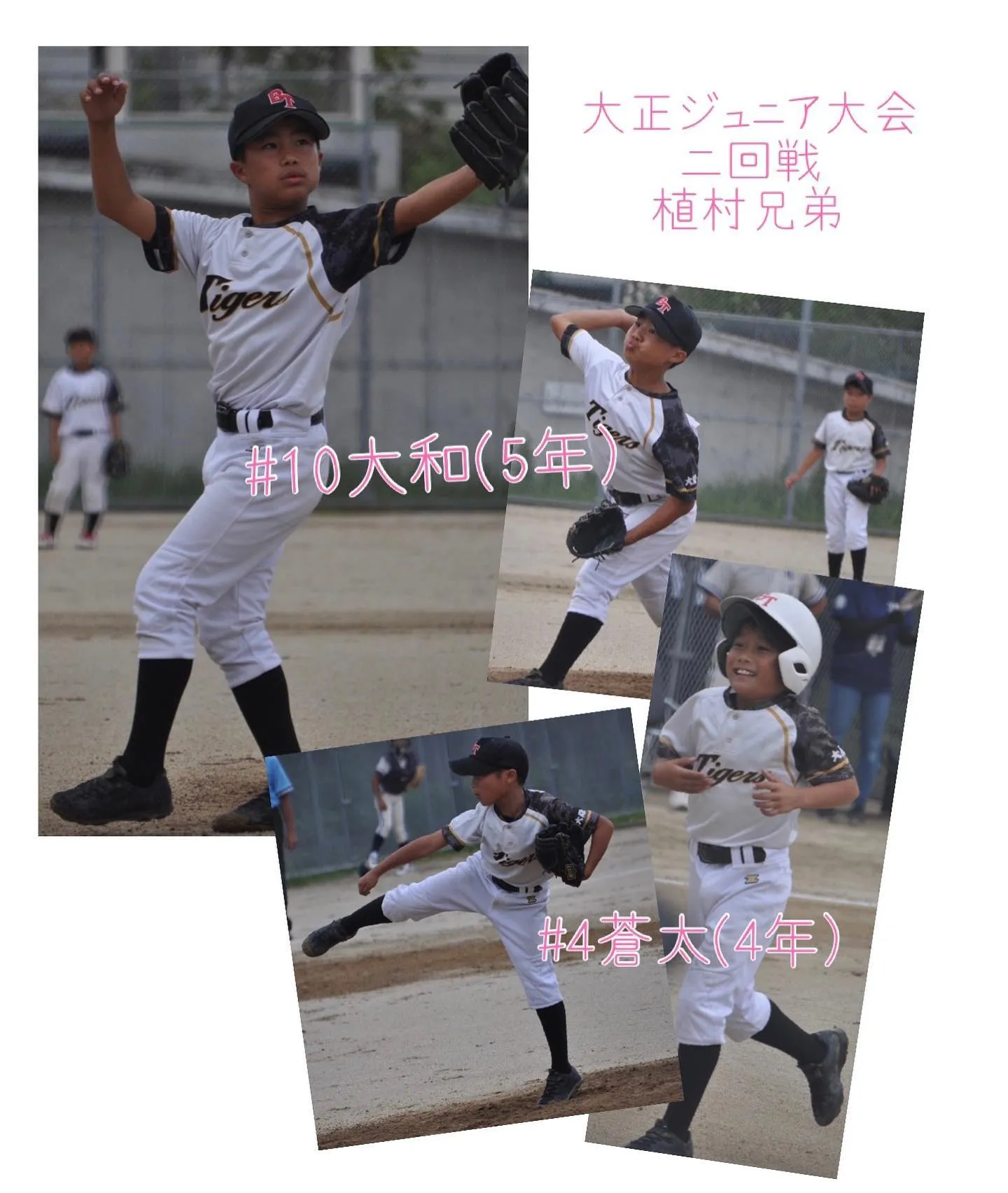 #門真タイガース