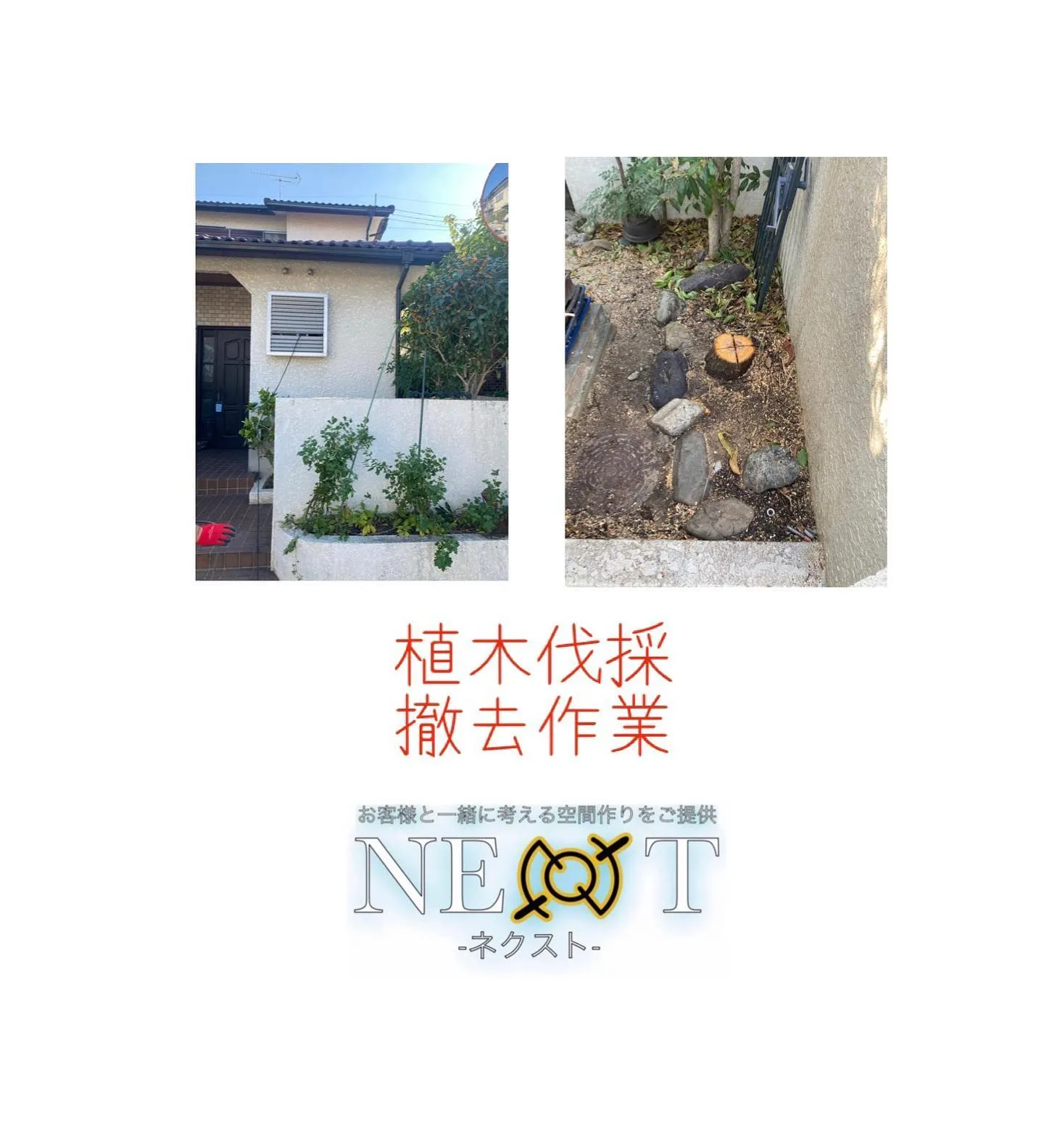 庭清掃作業