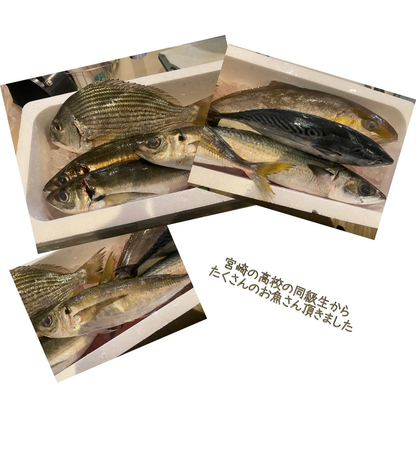 #宮崎の友達 から